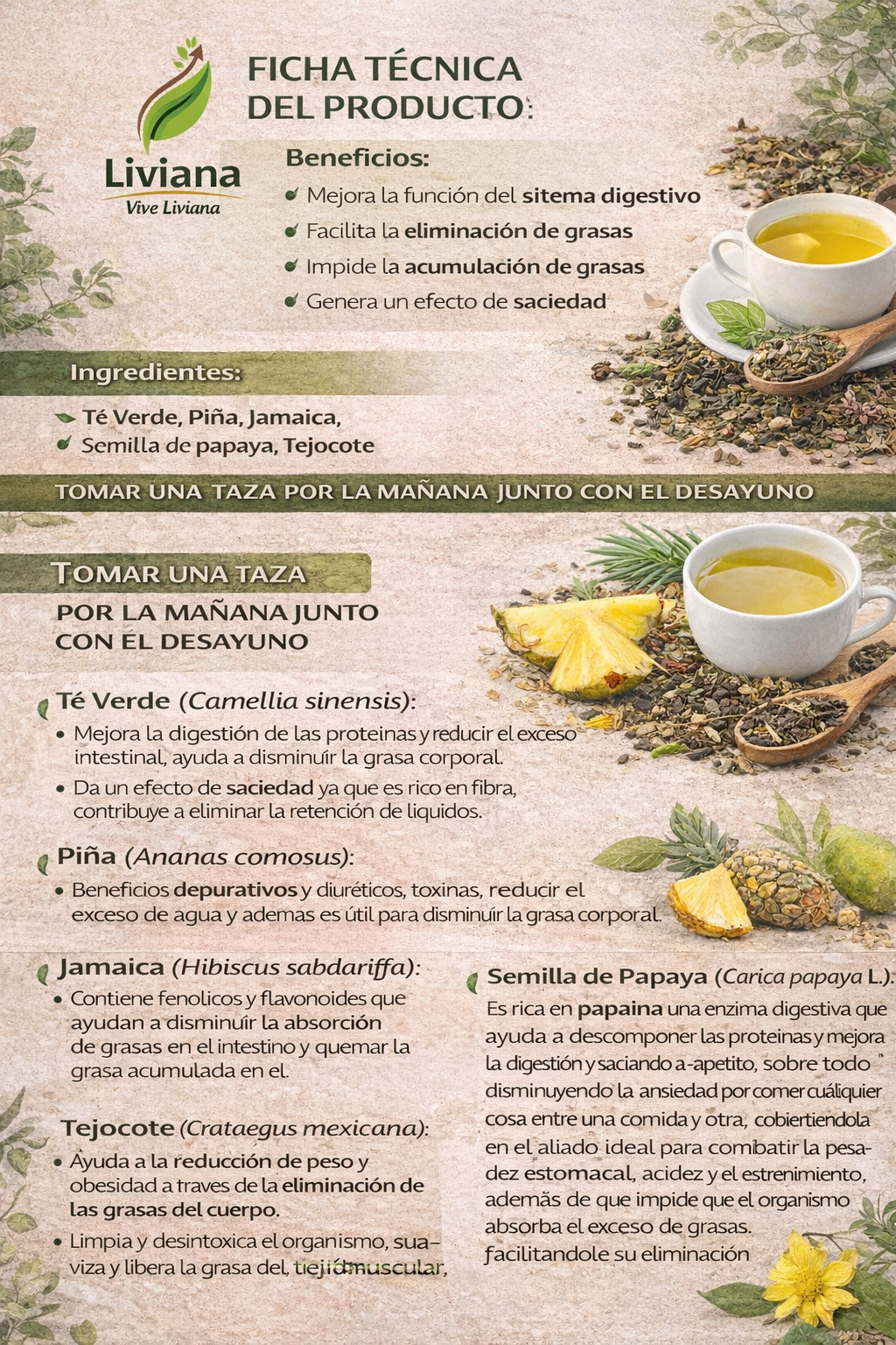 te para eliminar grasa y perder peso con un efecto de saciedad